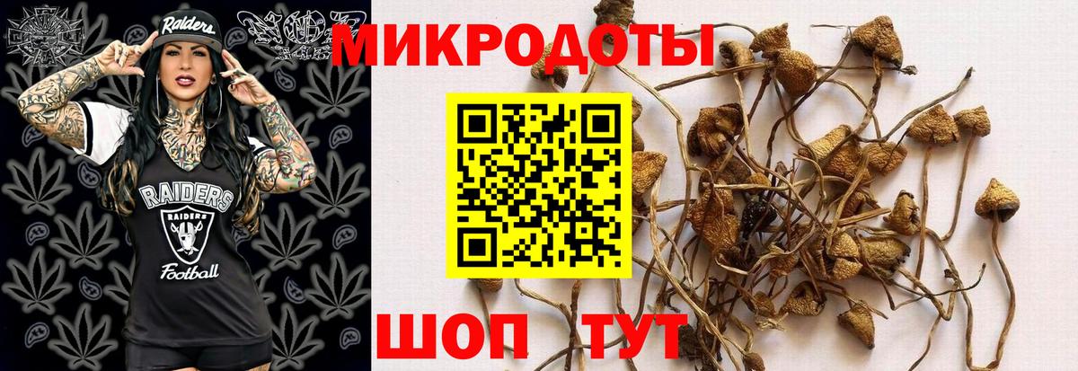 Псилоцибиновые грибы прущие грибы  Вход с VPN  Галлюциногенные грибы Psilocybe  Брянск 